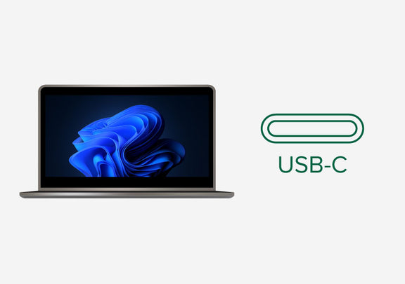 Compatible with USB-C ports that support DisplayPort Alt Mode.