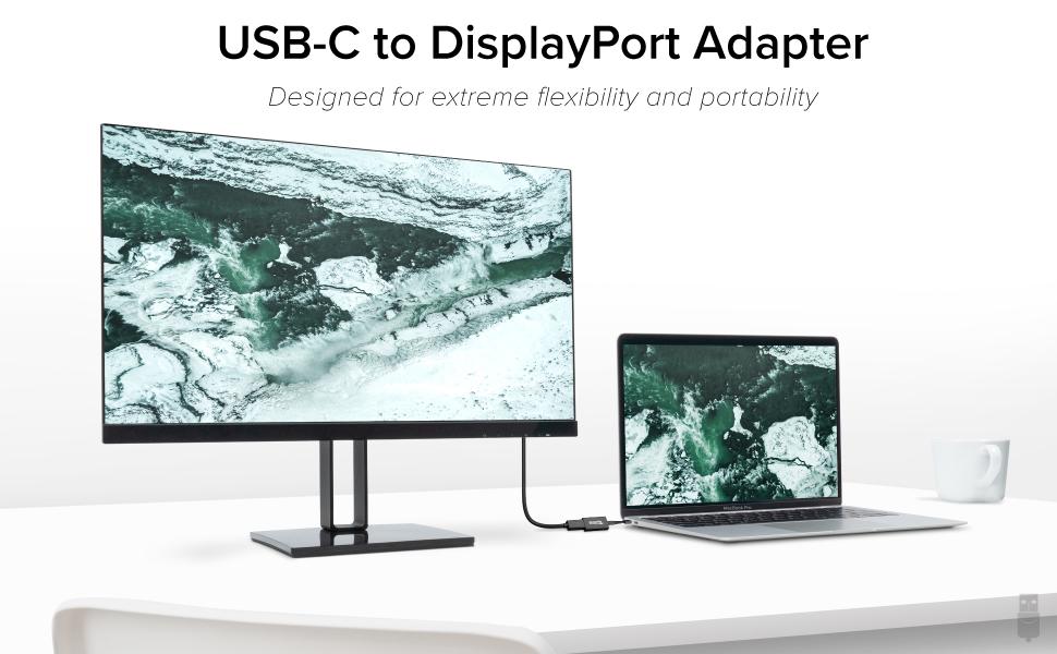 Image of Plugable USB-C to Display Port Adapter