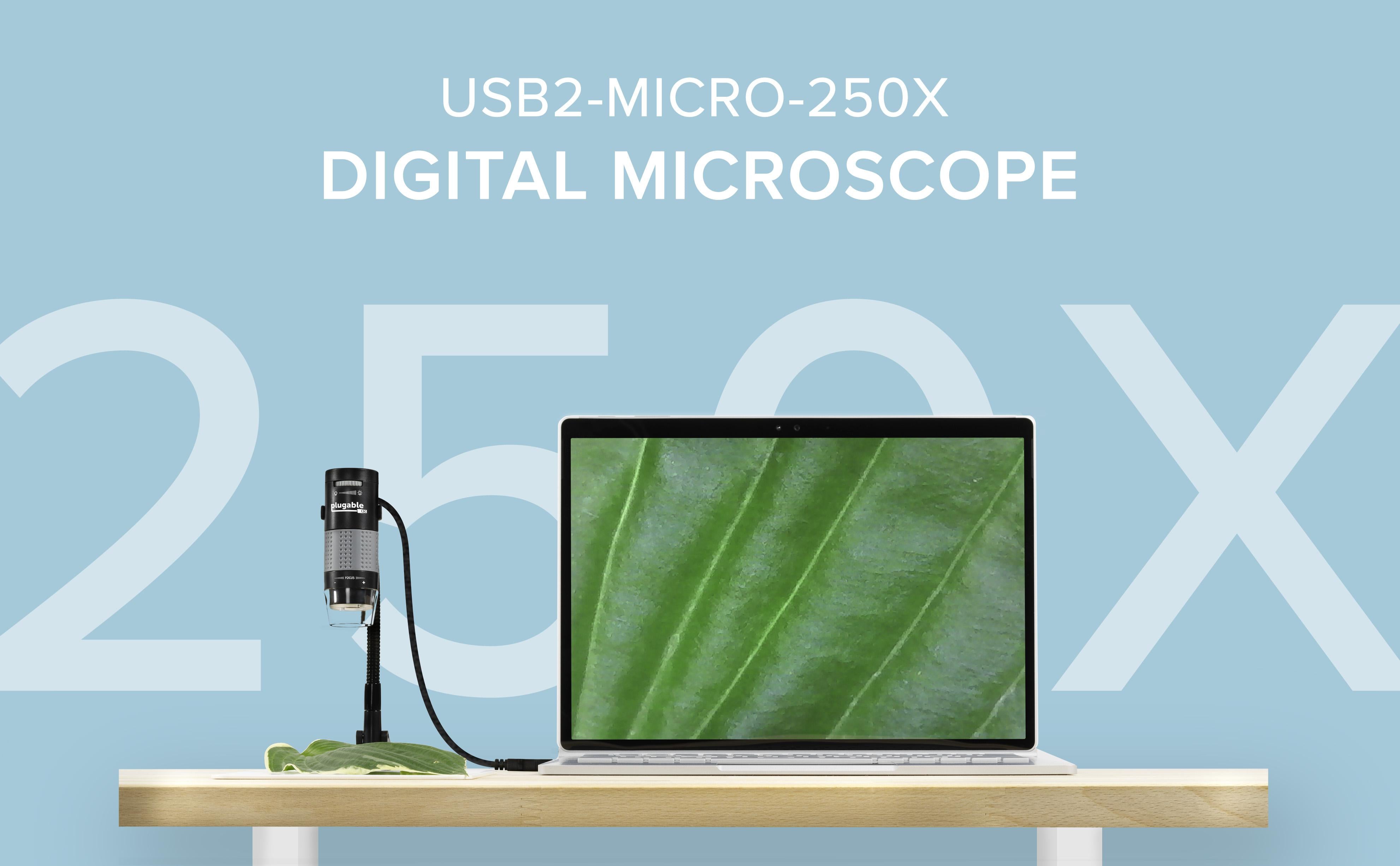 Plugable USB2-MICRO-250X Microscope on a table, with a computer. Examining a green leaf.