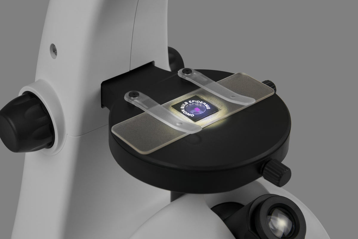 Plugable 800x Inverted Digital/Optical USB Microscope ~ Plugable ...